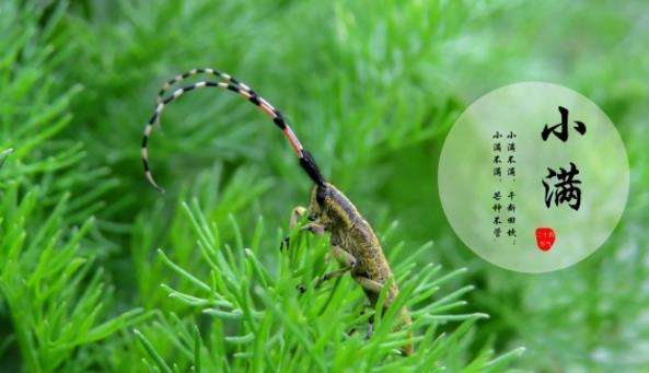 上?？婆d儀器