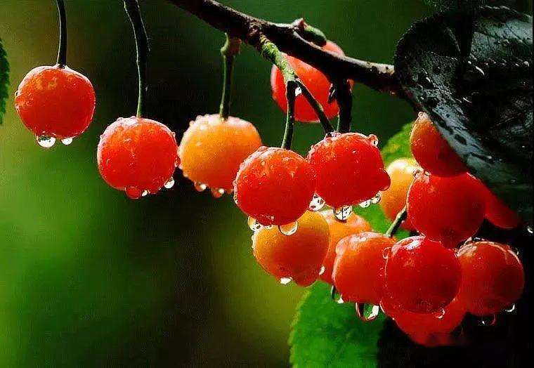 上?？婆d儀器